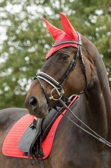 LeMieux Signature Fly Hood