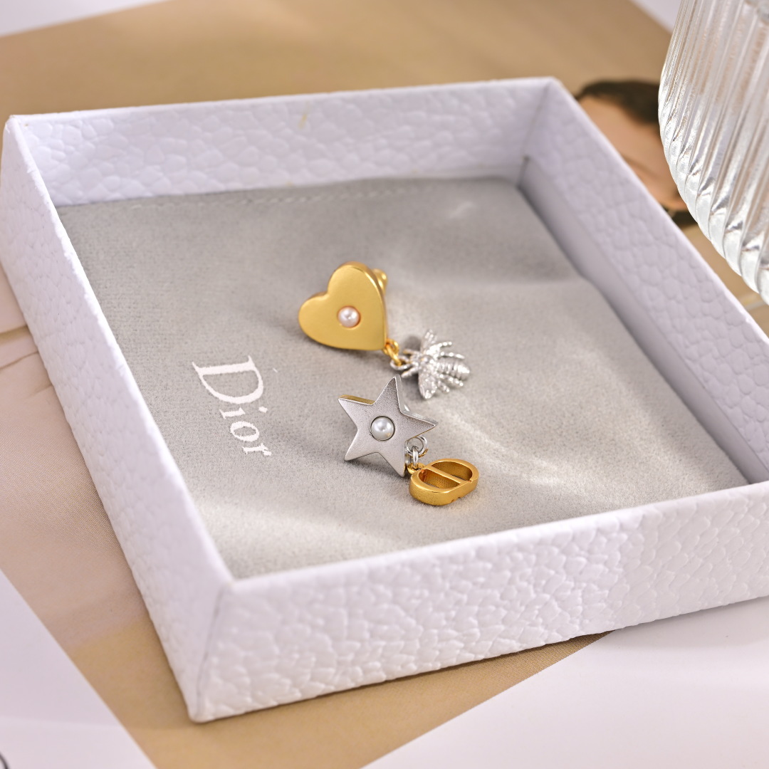 Dior Metallic Earrings - cnluxepick