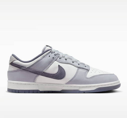 Nike Dunk Low Retro SE