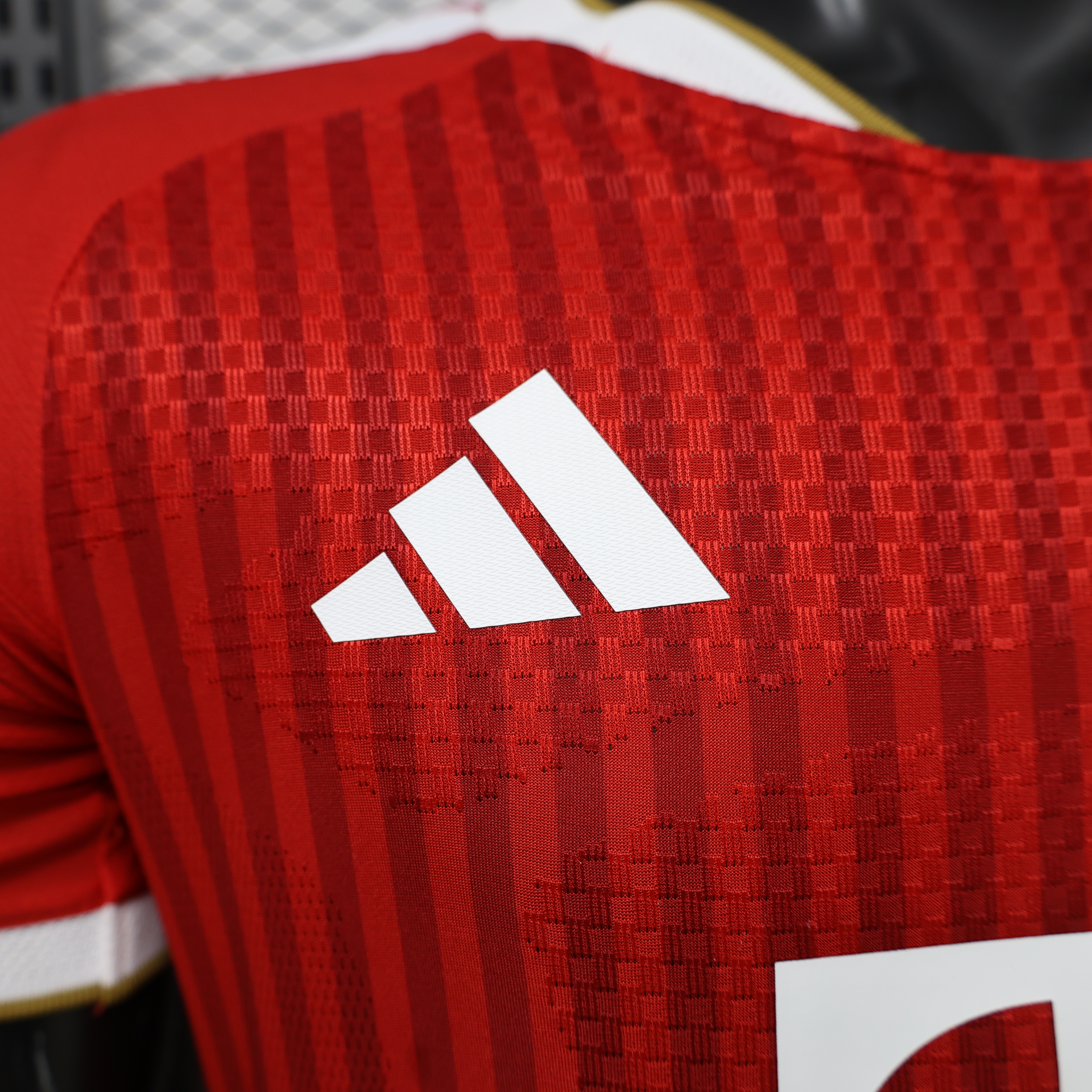 Player Version Bayern München  Men Jersey Home 26-27 S-4XL