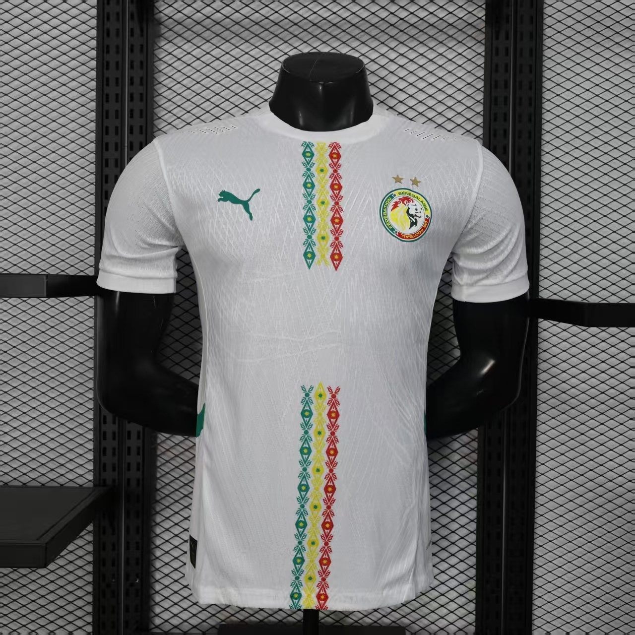 Senegal 25/26 Double Stars Home Player Version