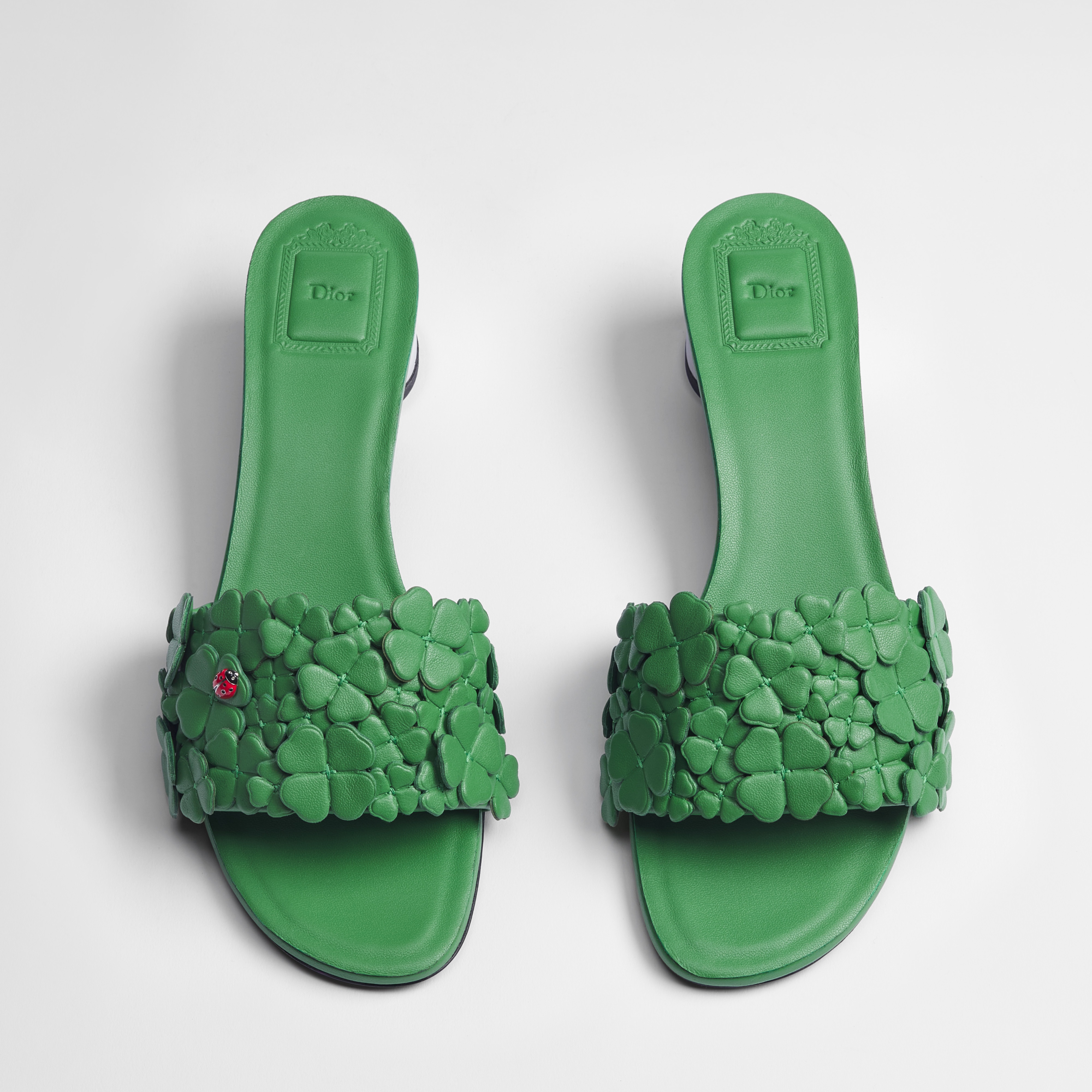 Slides