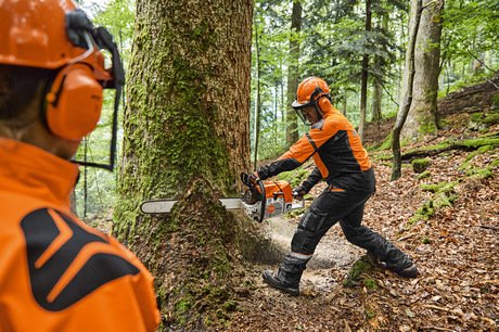 MS 881 Gasoline Chainsaw