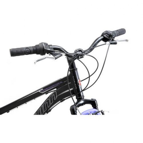 Sidewinder, Mountain Bike, 24 in wheels, Black/Purple, 21 speeds, steel frame