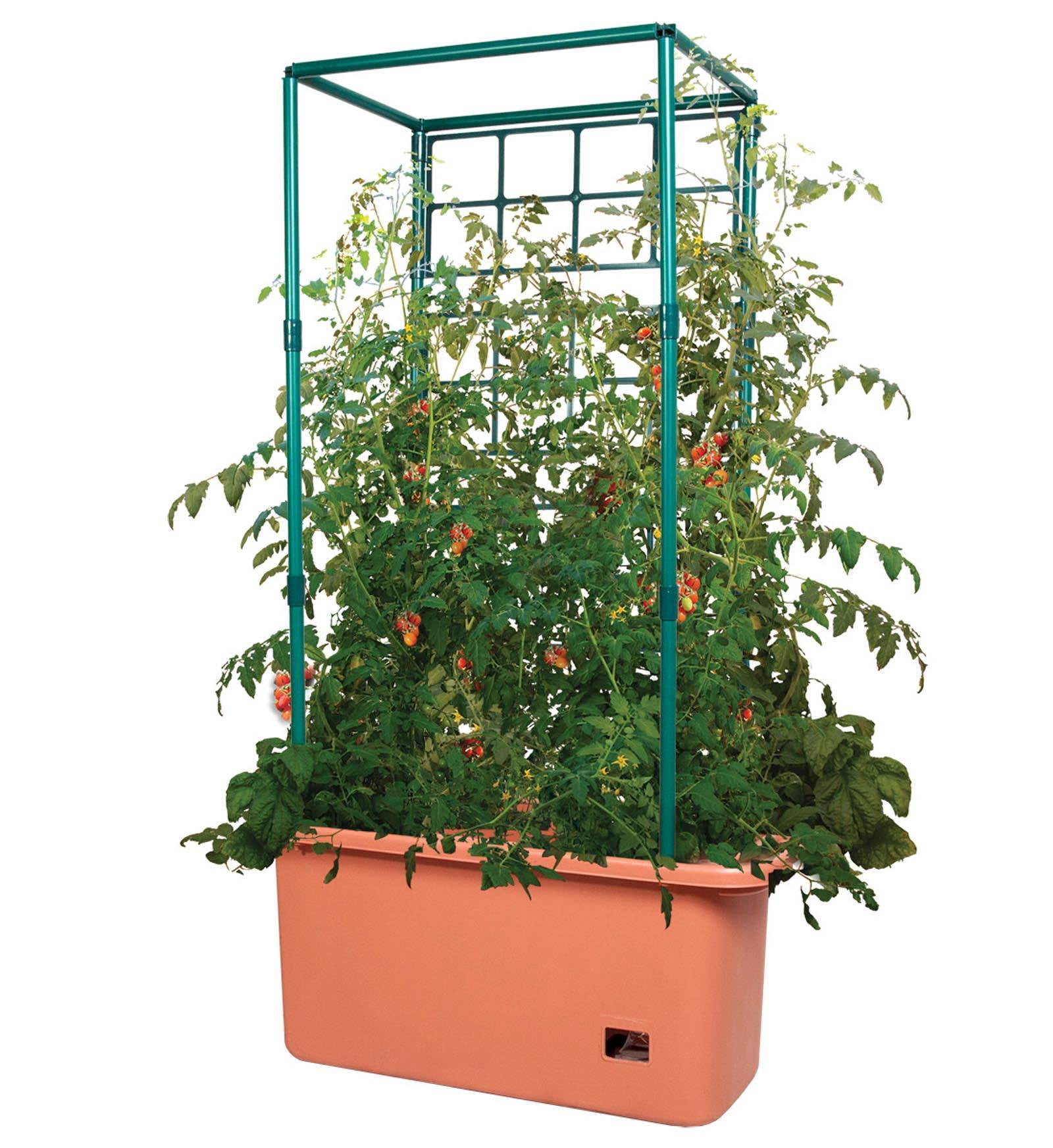 Hydrofarm GCTR 10 Gal Tomato Garden Planting System and 4′ Trellis Tower on Wheels