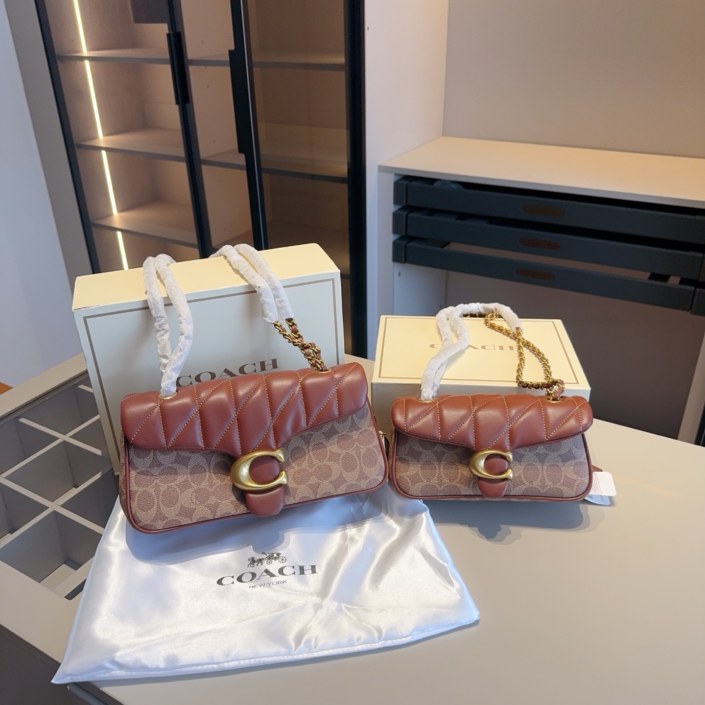 Coach's new color-blocked Dionysus bag high version - cnluxepick