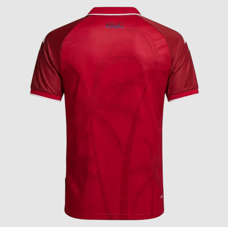 Haiti Third Soccer Jersey World Cup 2026