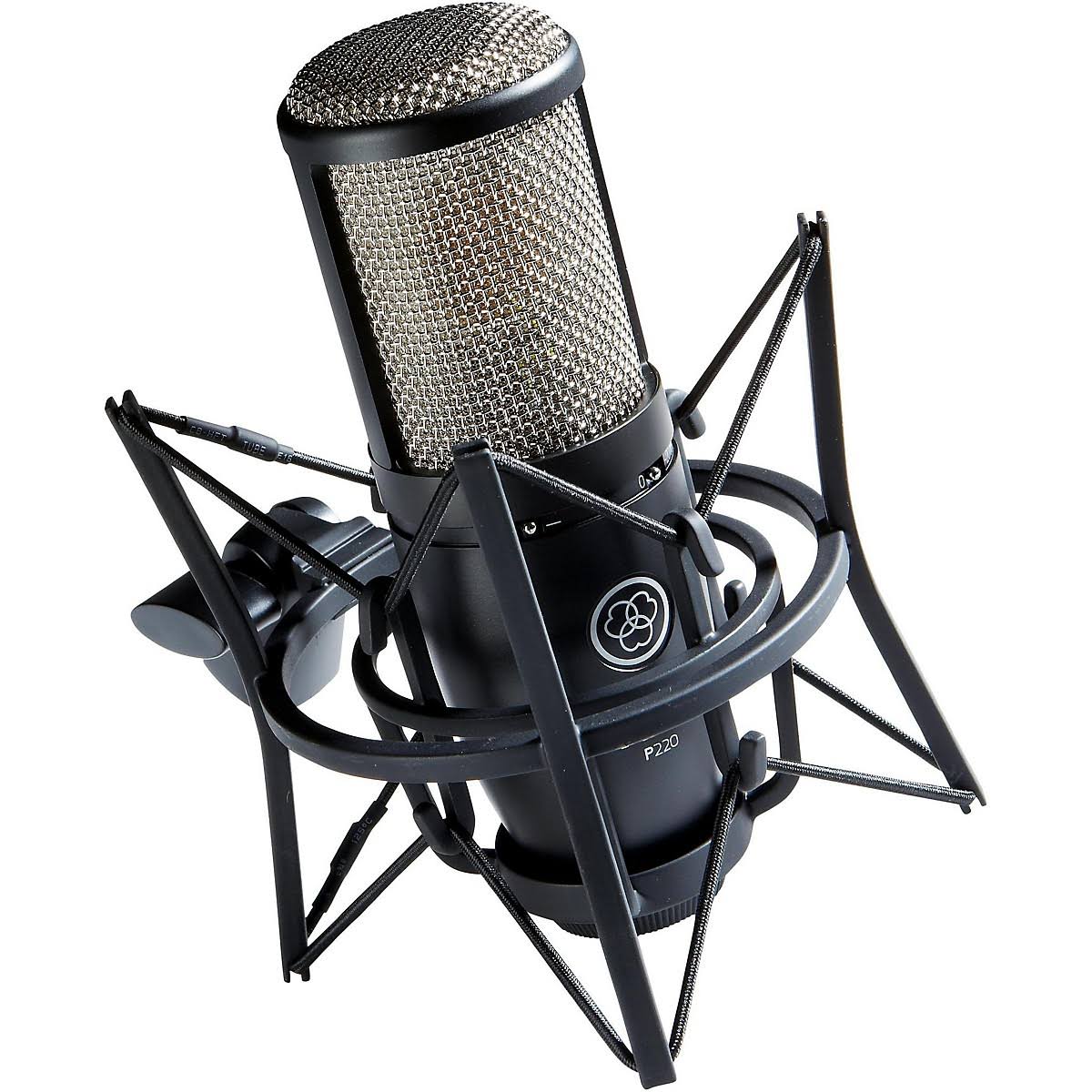 AKG P220 Condenser Microphone