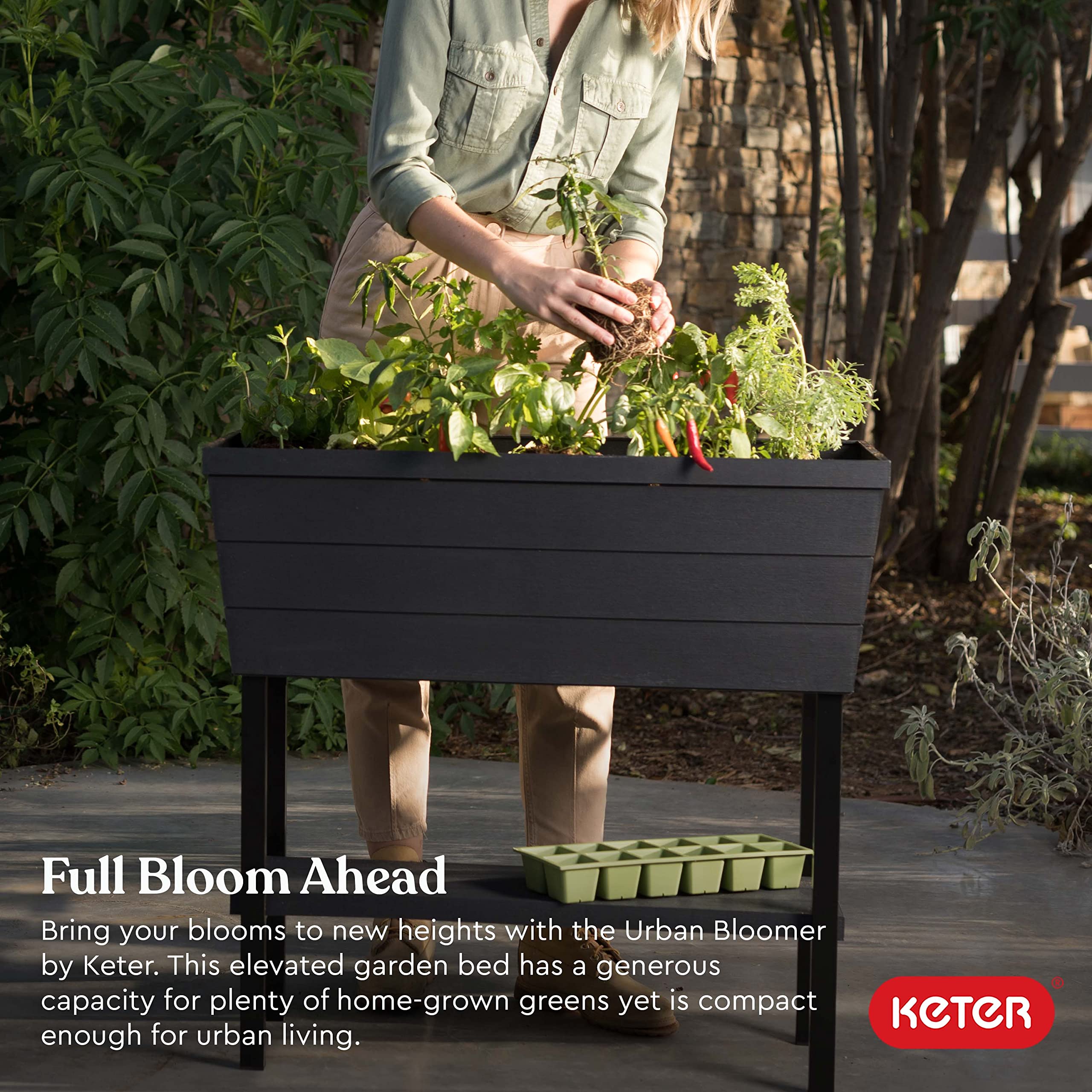 Keter Bloomer Plastic Elevated Graphite