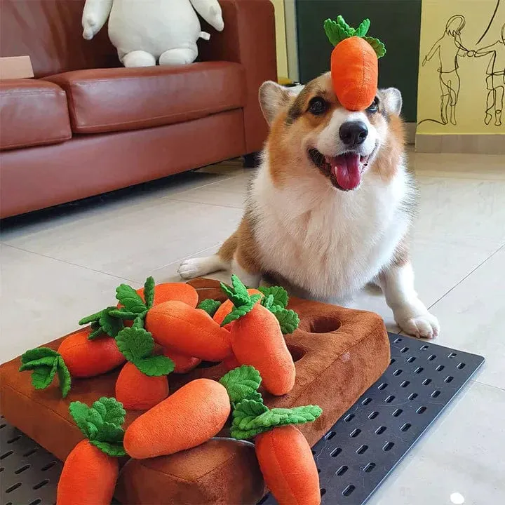 Carrot Farm - Interactive Carrot Plush Toy