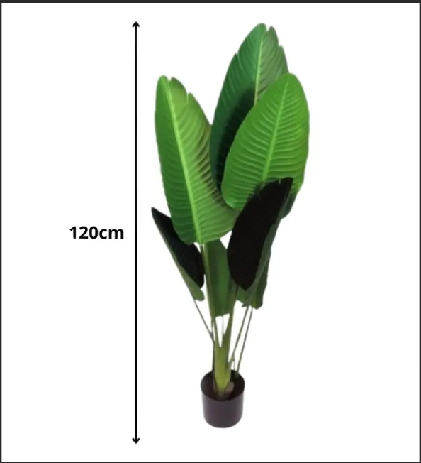 Simulasi pisang pengembara bunga