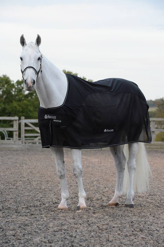 Bucas Competition Cooler Navy