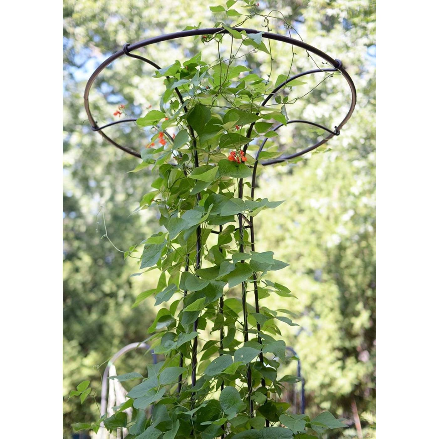 Achla Designs Mushroom Trellis I