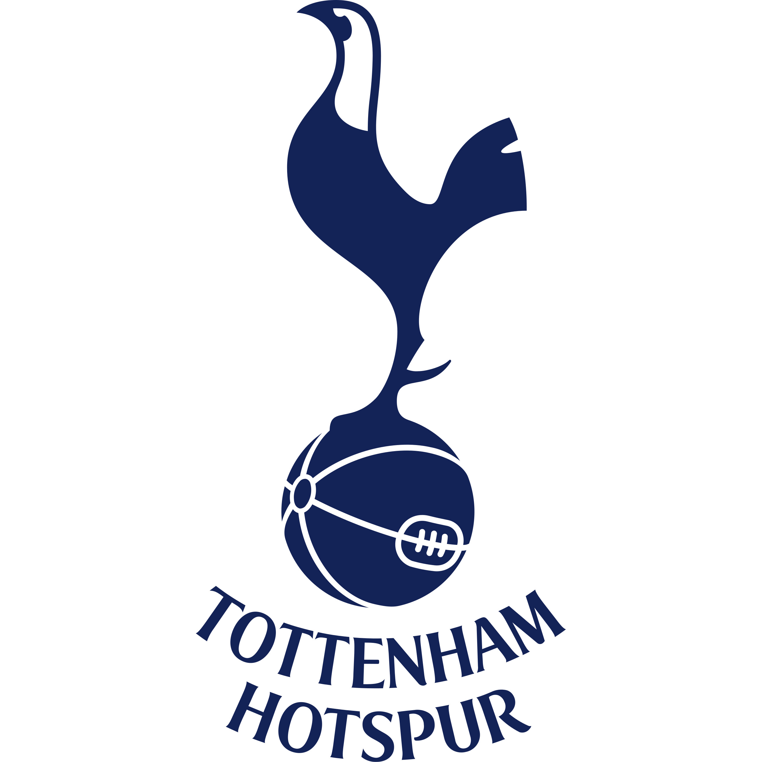 Tottenham Hotspur Jersey