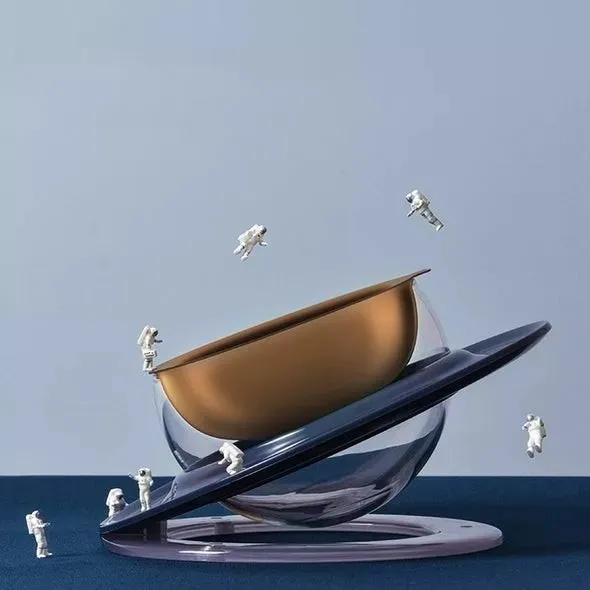 Planet Shaped Cat Bowl