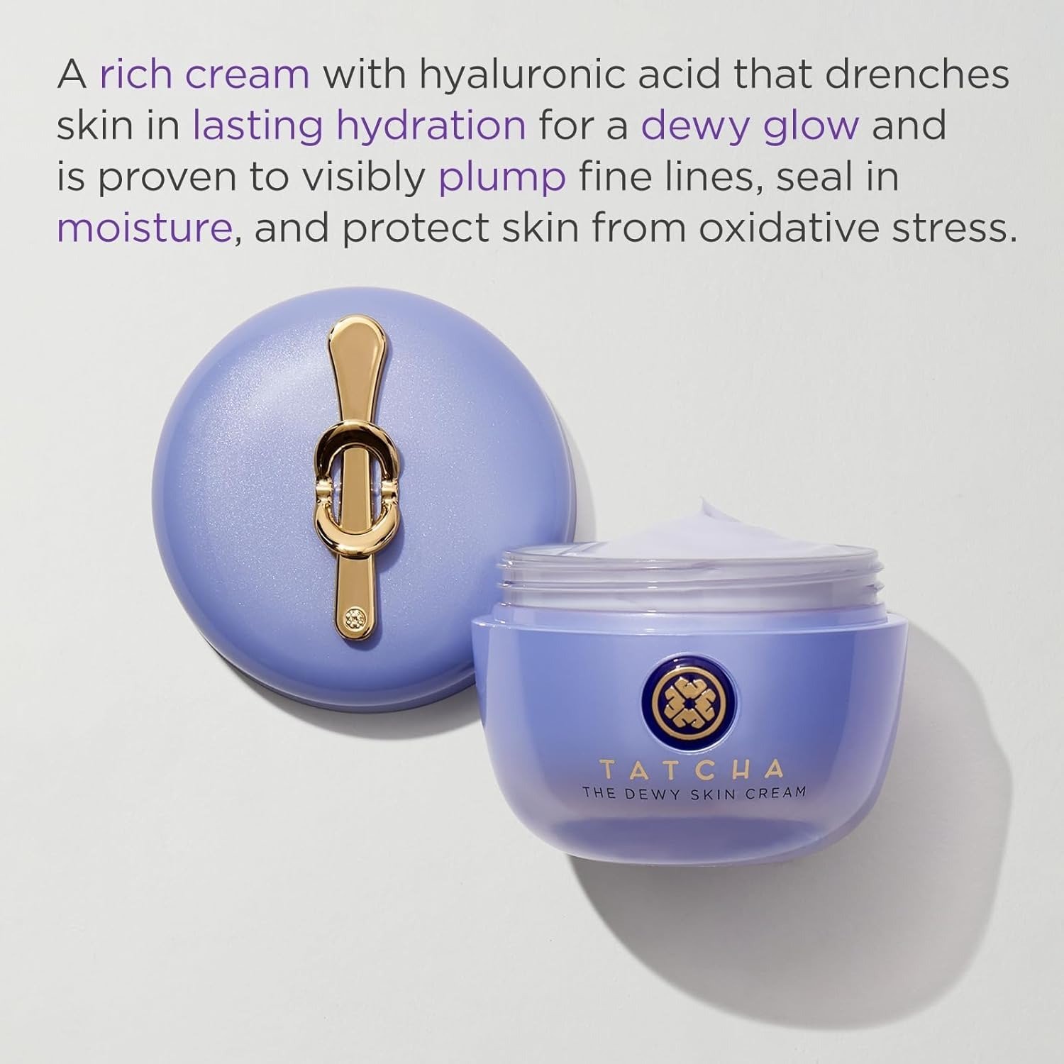 50 ML The Dewy Skin Cream | Rich Face Cream to Hydrate, Plump and Protect Dry and Combo Skin