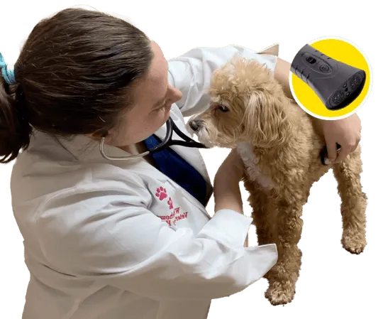 BarXBuddy - Ultrasonic Anti Barking Device