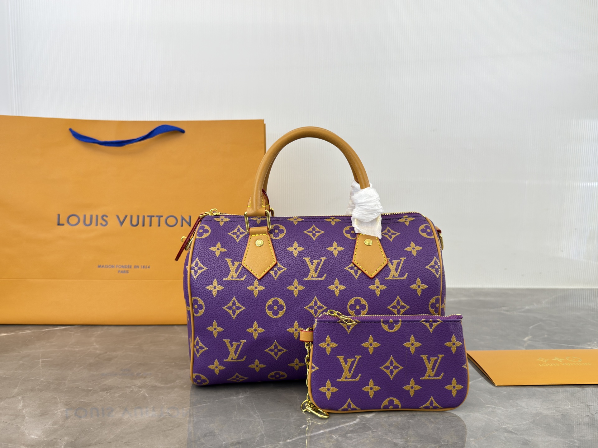LV Speedy Pillow Bag - cnluxepick