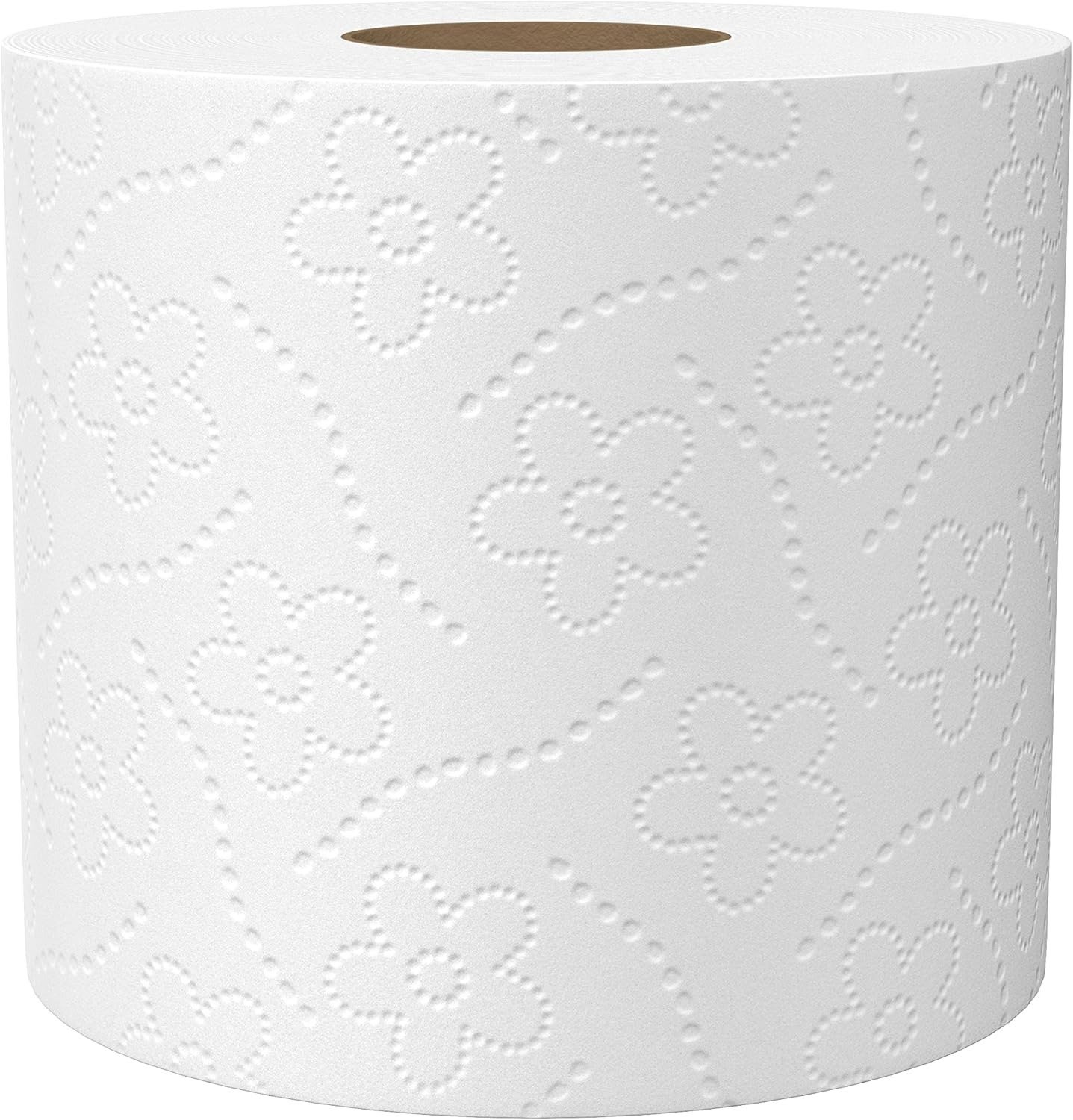 2-Ply 100% Recycled Toilet Paper, 60 Rolls (500 Sheets Per Roll) Septic Safe Bathroom Tissue