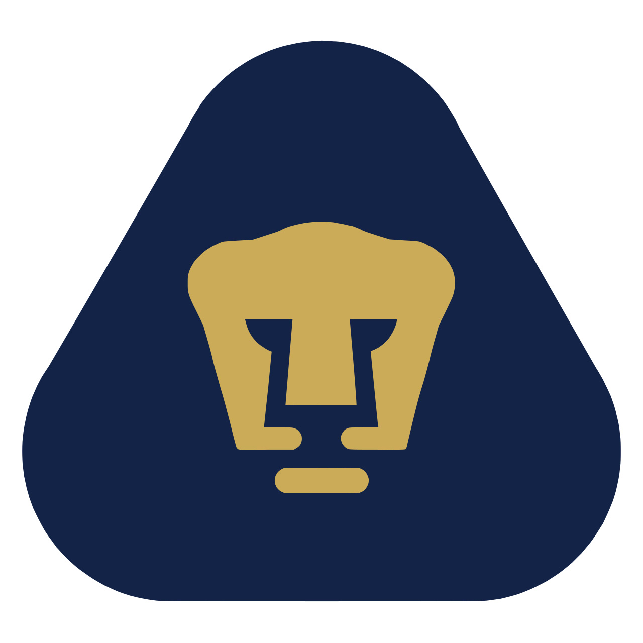 Pumas UNAM Jersey