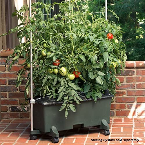 EarthBox Container Gardening System – Green
