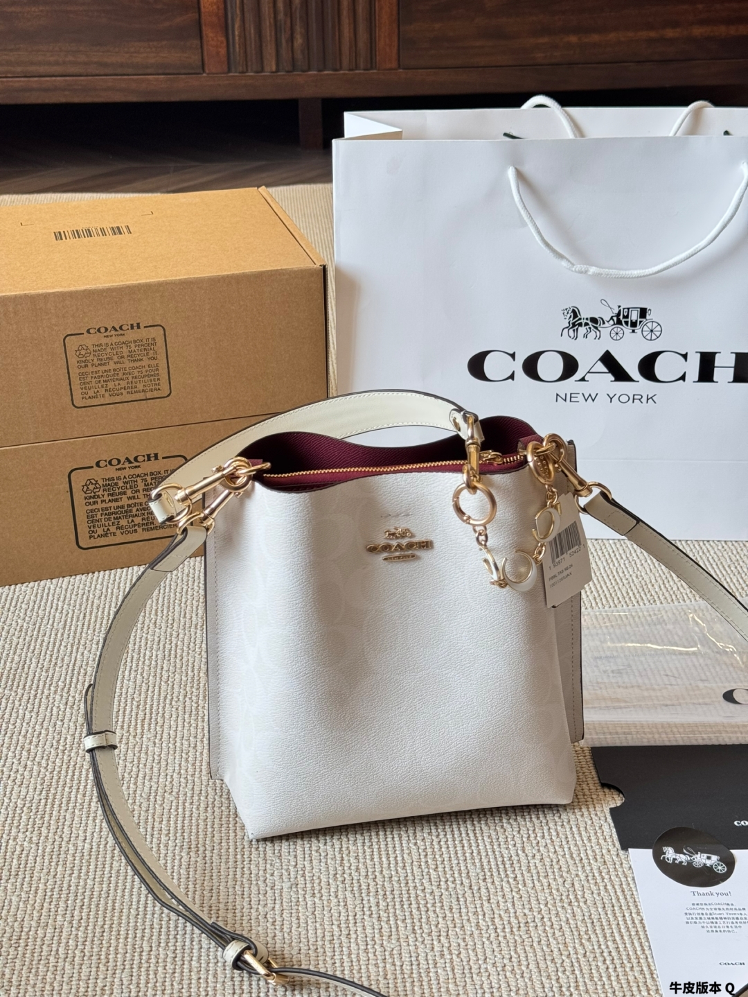 Coach Mollie Bucket Series Bucket Bag - cnluxepick
