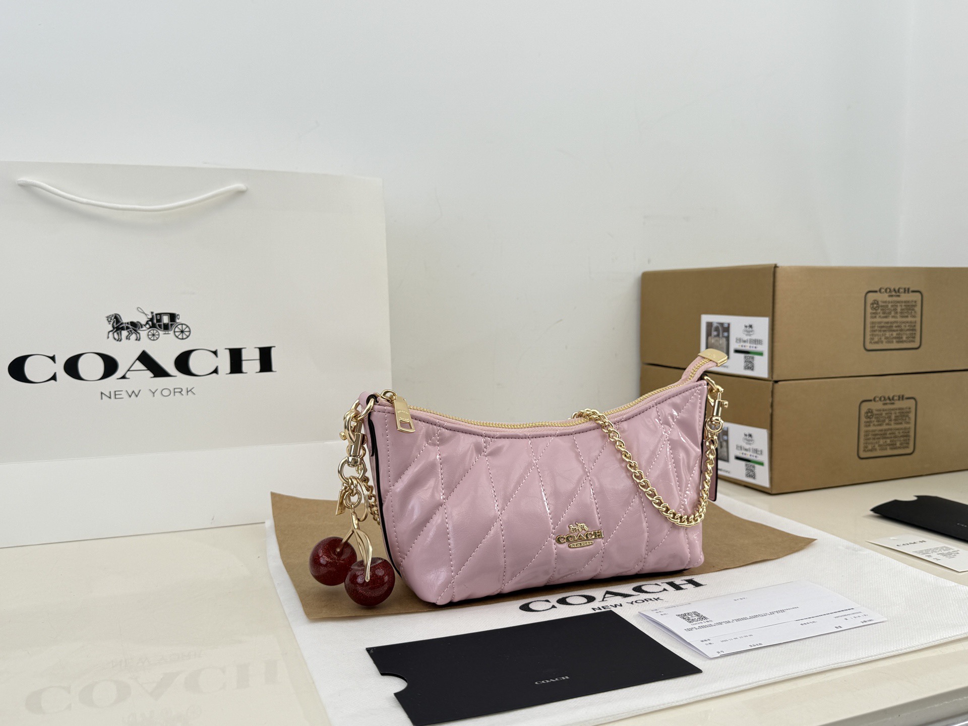 Coach Underarm Bag - cnluxepick