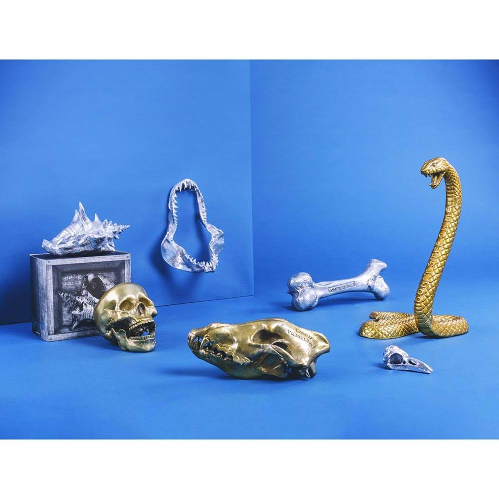 Wunderkammer Snake Seletti