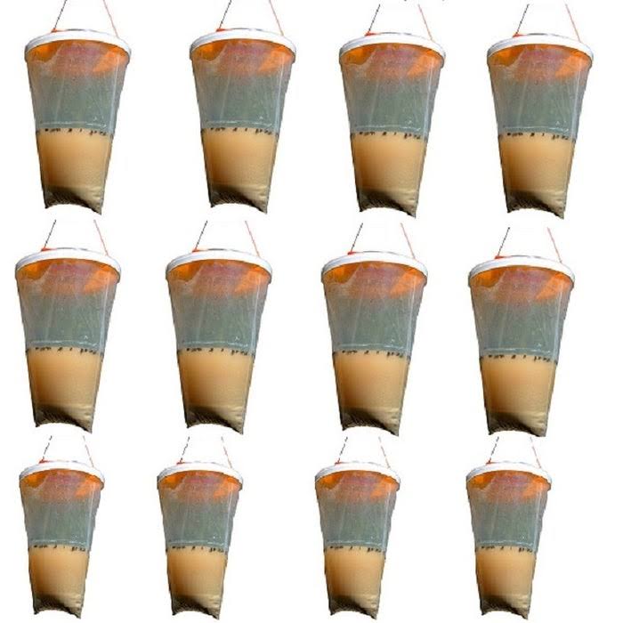 Flies Be Gone Non Toxic Fly Trap (12-Pack)