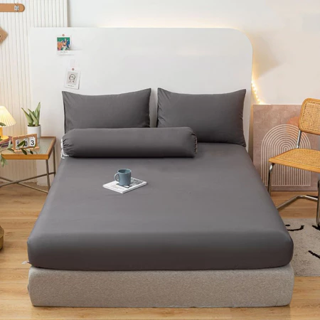 Ready Stock Waterproof Mattress Protector Waterproof Bedsheet Bolster case Pillow case Cadar Single/S. single/Queen/King