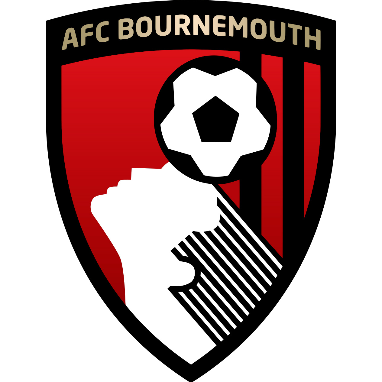 AFC Bournemouth Jersey