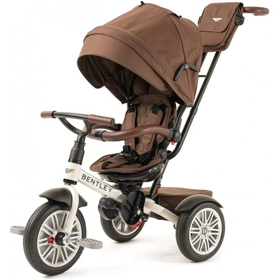6-in-1 Baby Stroller/Kids Trike