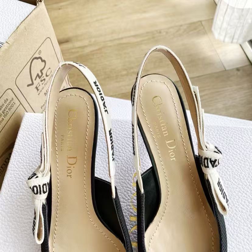 Dior embroidered high heels - cnluxepick