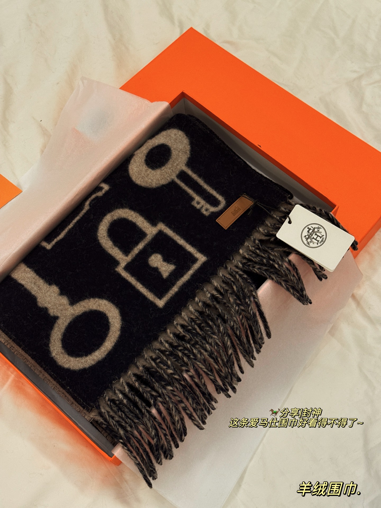 Hermès double-faced cashmere scarf - cnluxepick