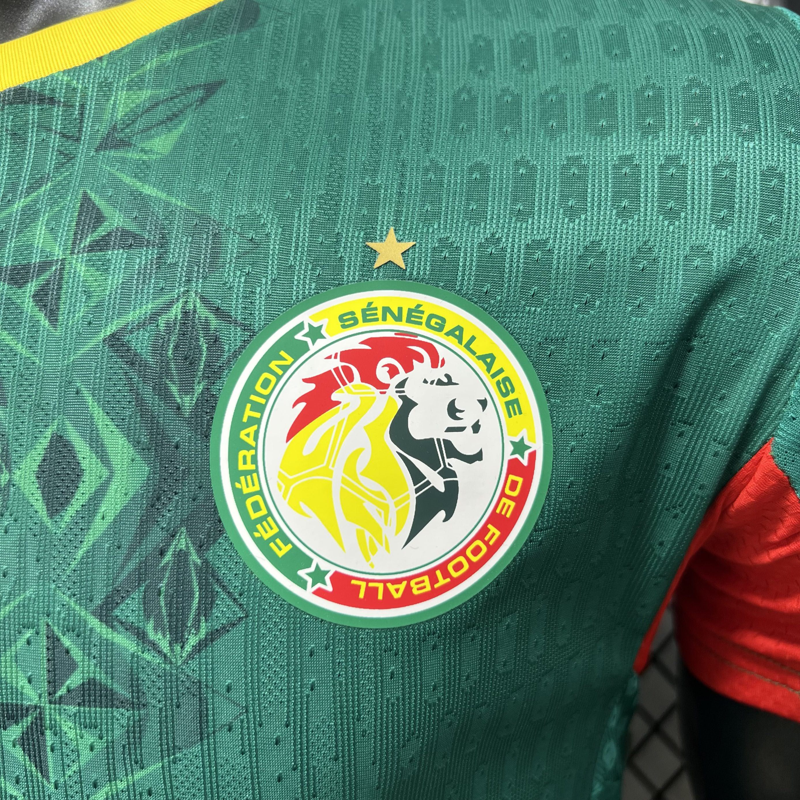 Player Version Senegal 2026 Away Jersey S-XXL
