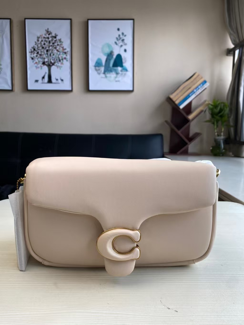 High quality coach tabby crossbody bag - cnluxepick