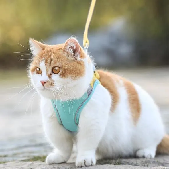Escape Proof Cat Vest Harne