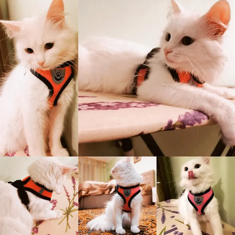 Cat Dog Harness Adjustable Vest Walking