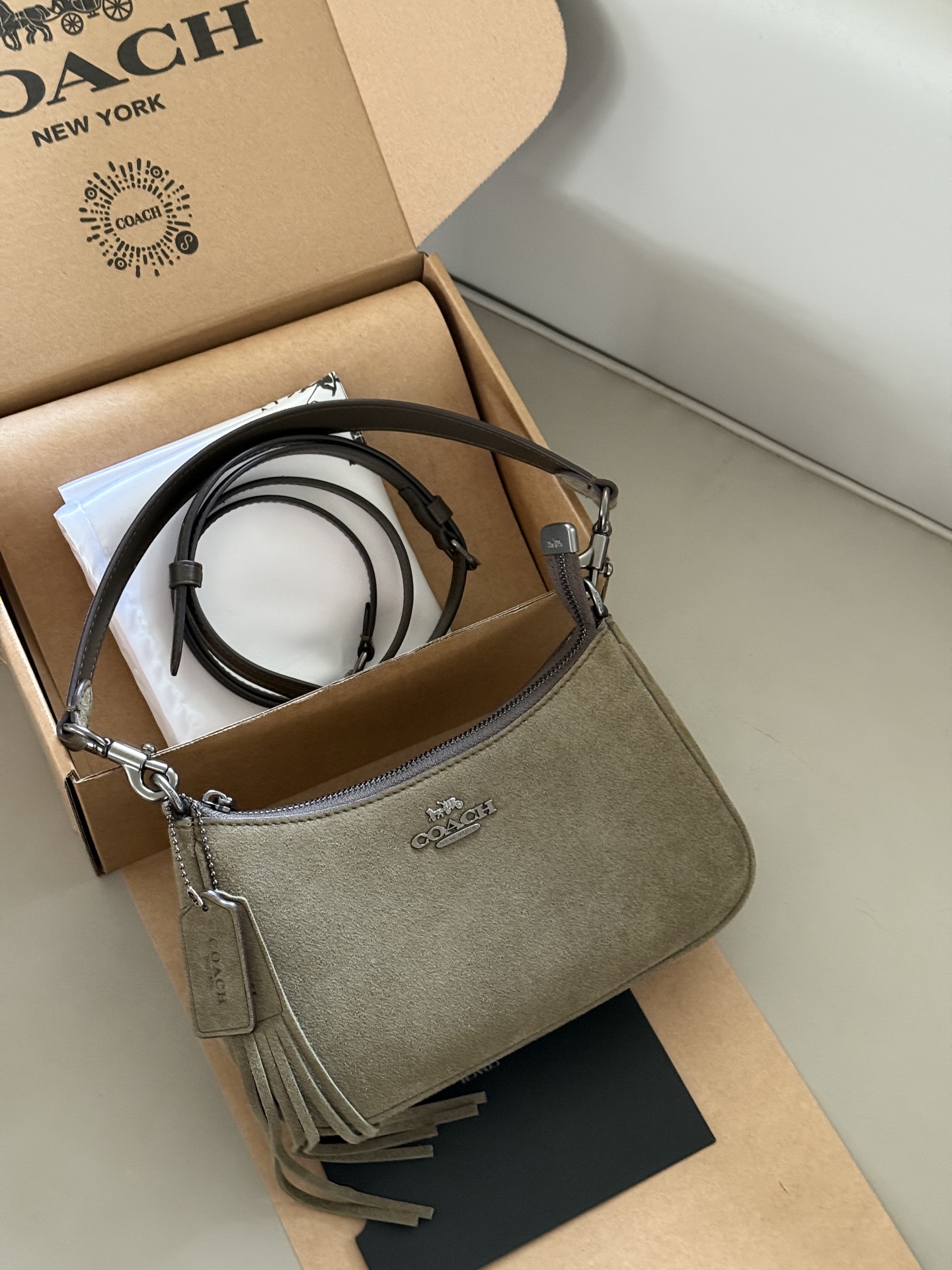 Coach Teri Underarm Bag - cnluxepick