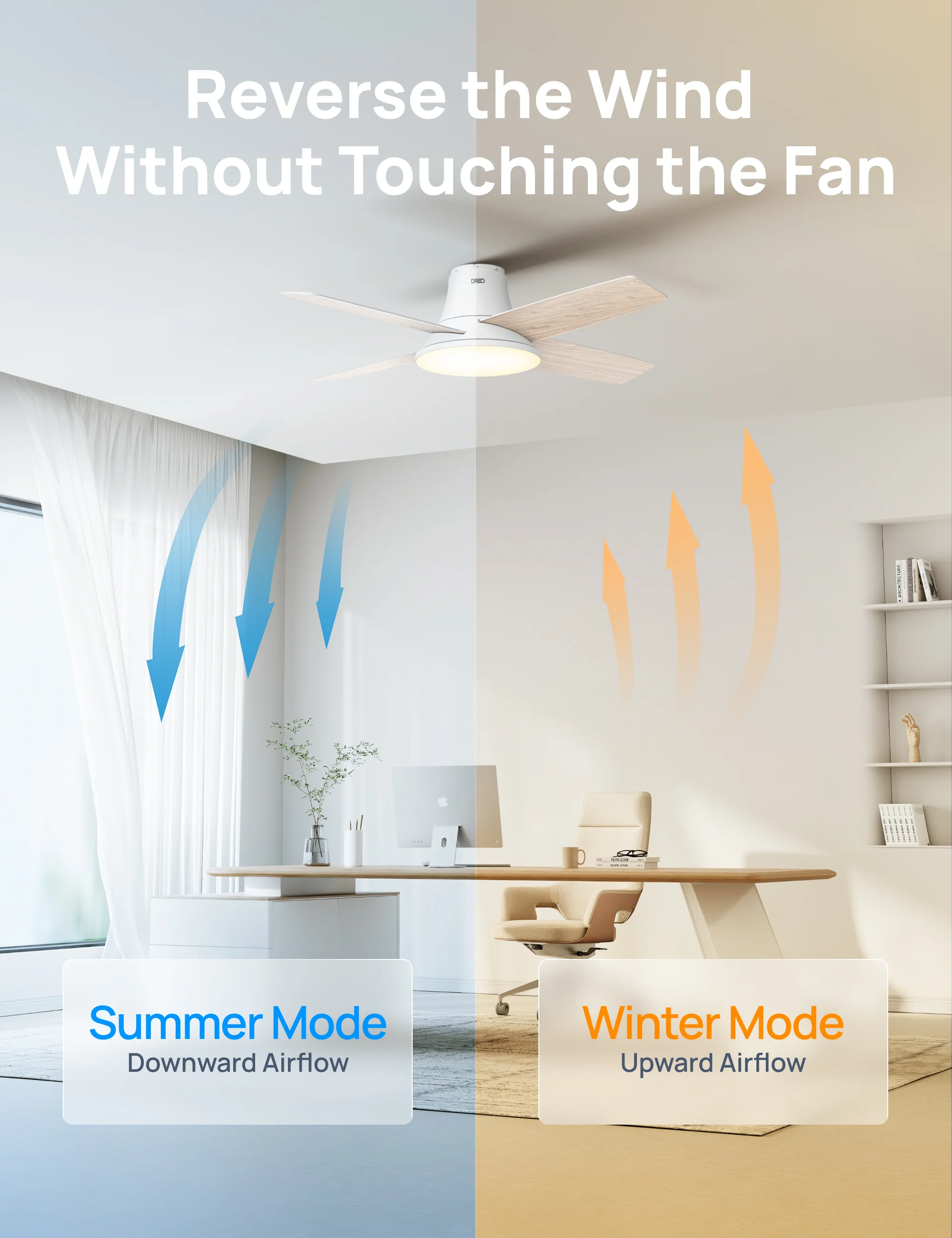Ceiling Fan CLF513