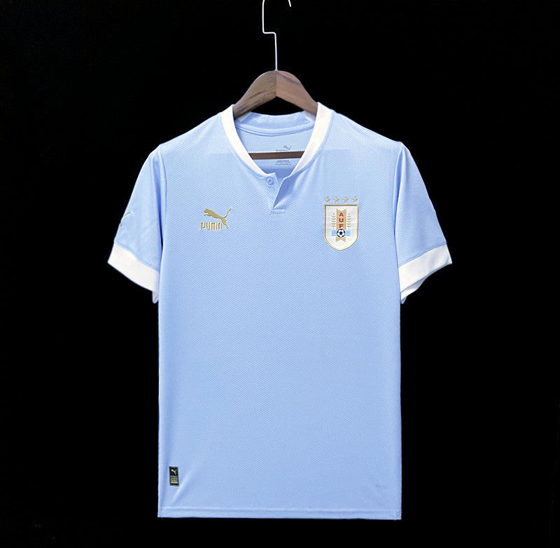 Maillot Uruguay 2022/23€14.99