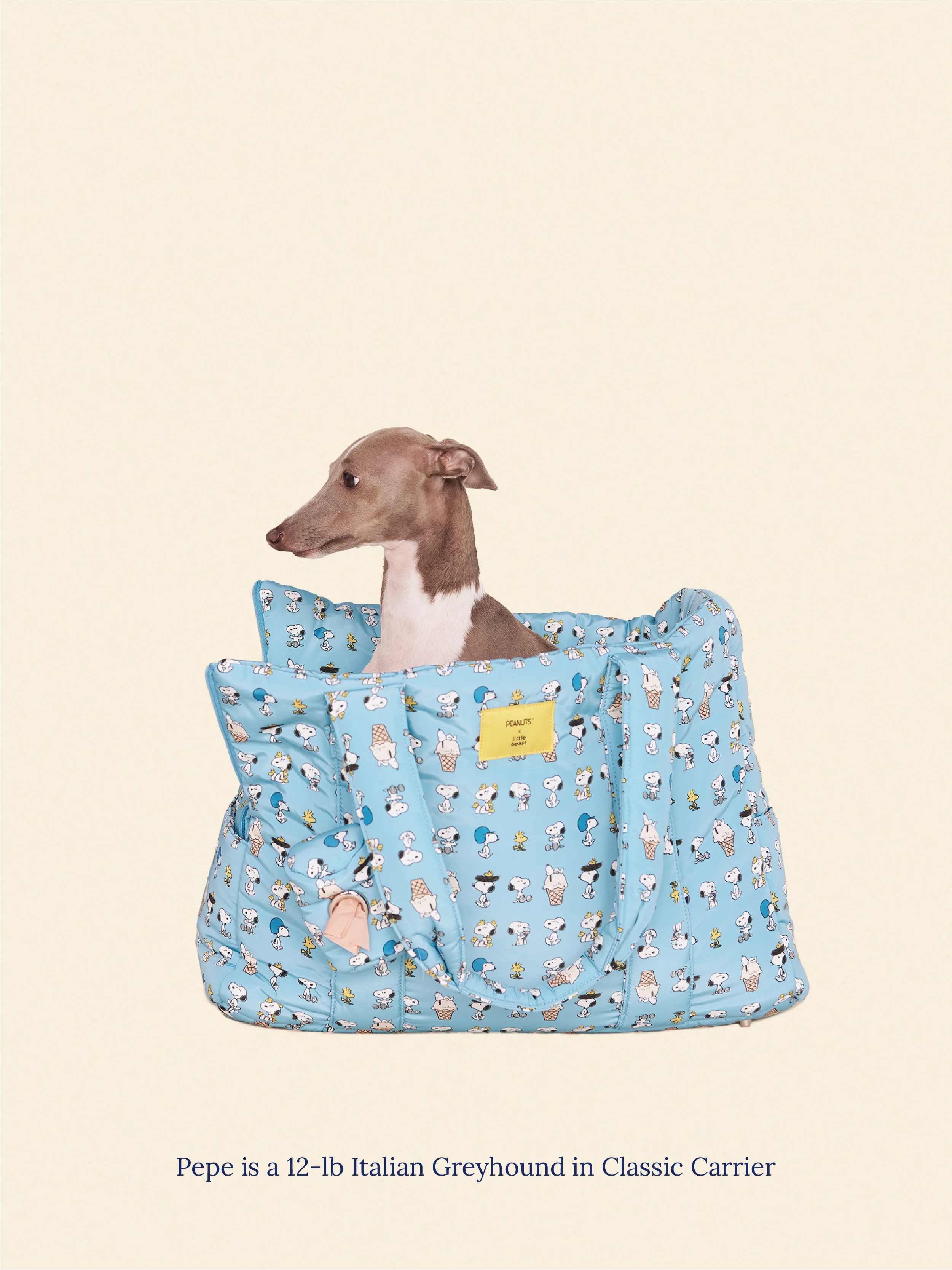 Snoopy Chillin Carrier - PEANUTS