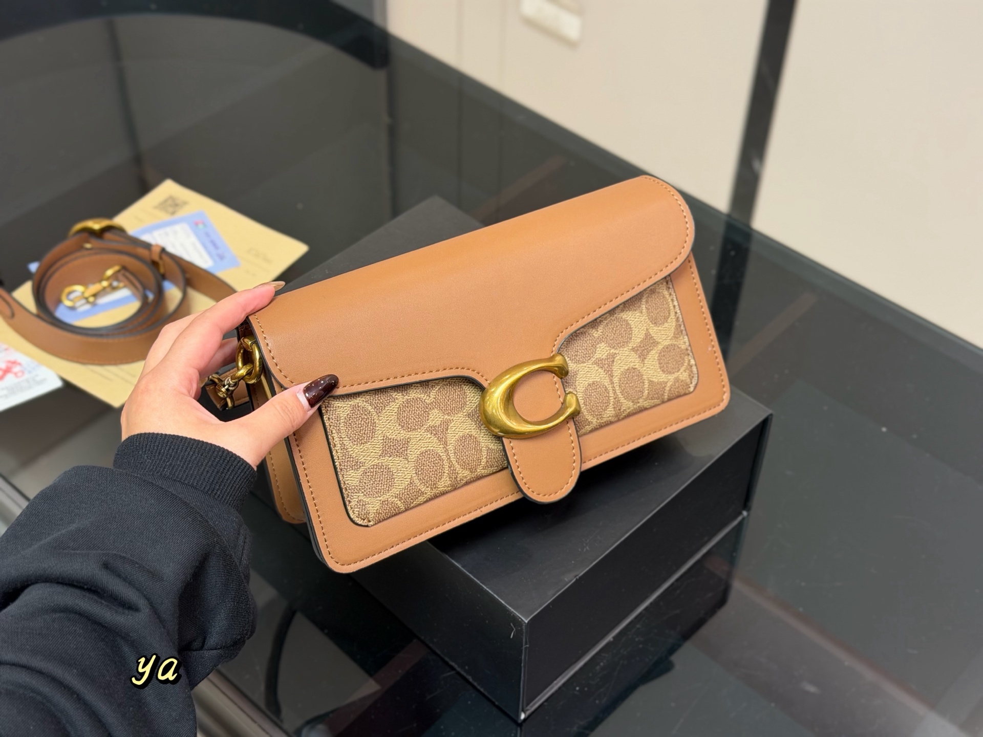 Coach Dionysus Tabby - cnluxepick