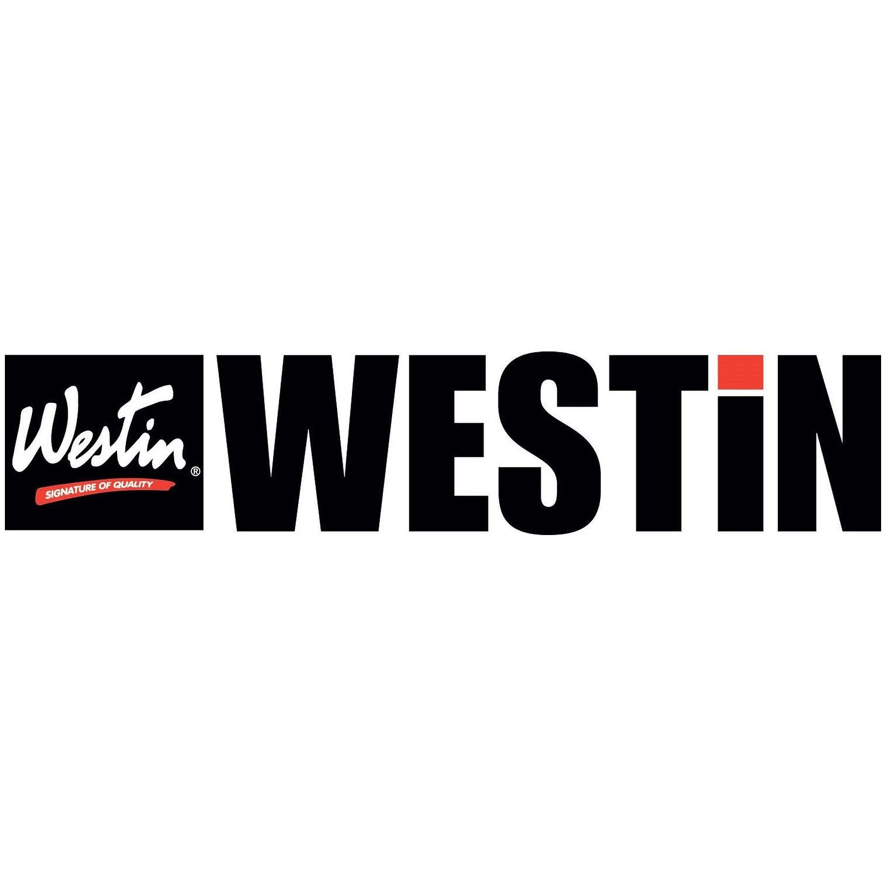 Westin 21-21400 Pro Traxx 4 Oval Nerf Step Bars