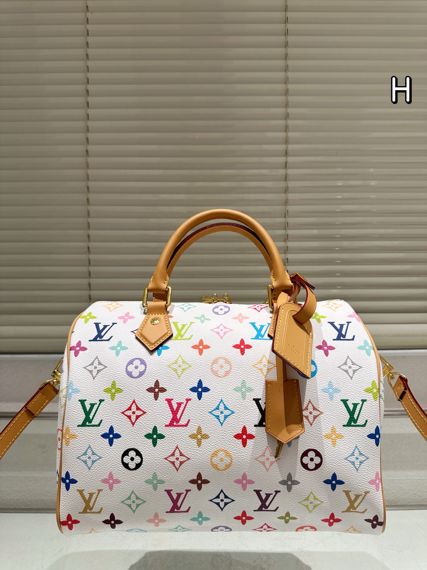 LV Speedy Pillow Bag - cnluxepick