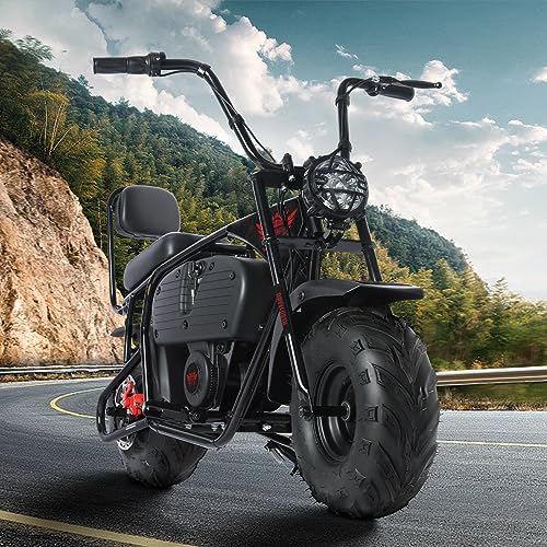 Oryxearth 36V 1000W Electric Kids Dirt Bike, 2-Speed Modes (15.5MPH/22MPH), 60-Min Runtime, 185lbs Capacity, Includes 2 Storage Bags, Red