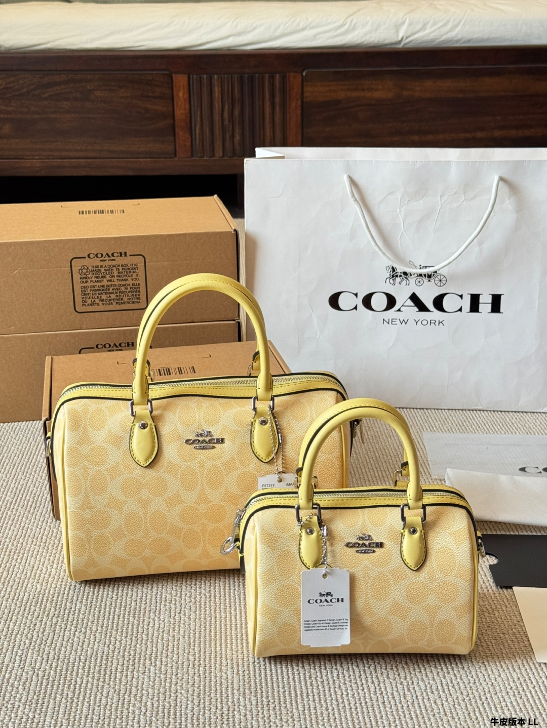 Coach mini Rowan pillow bag - cnluxepick