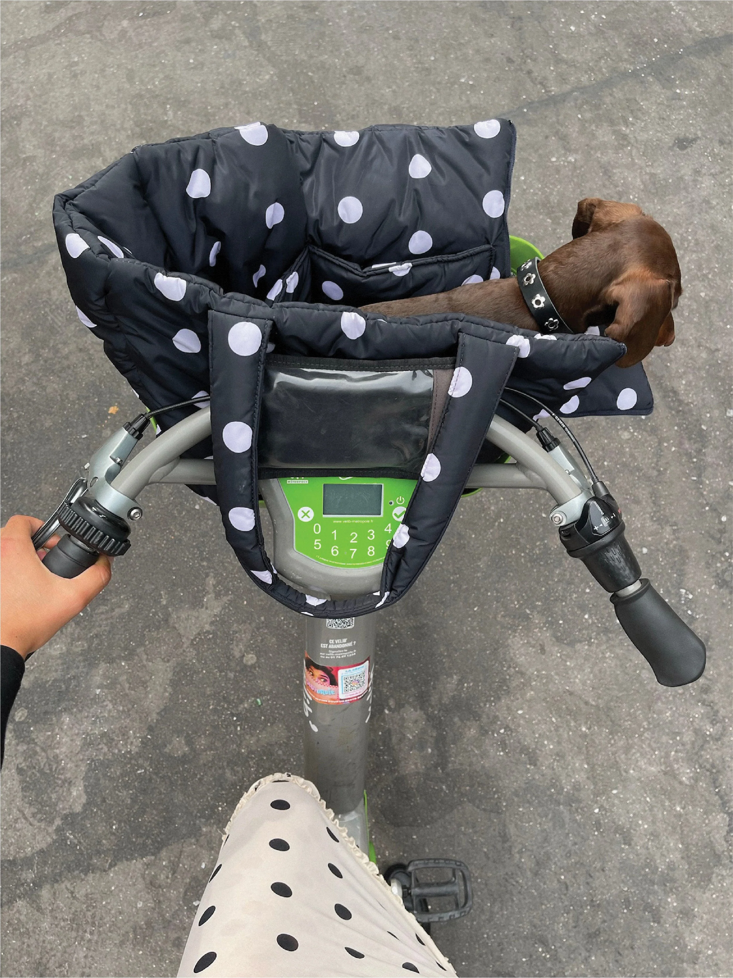 The Little Beast Carrier - Betty