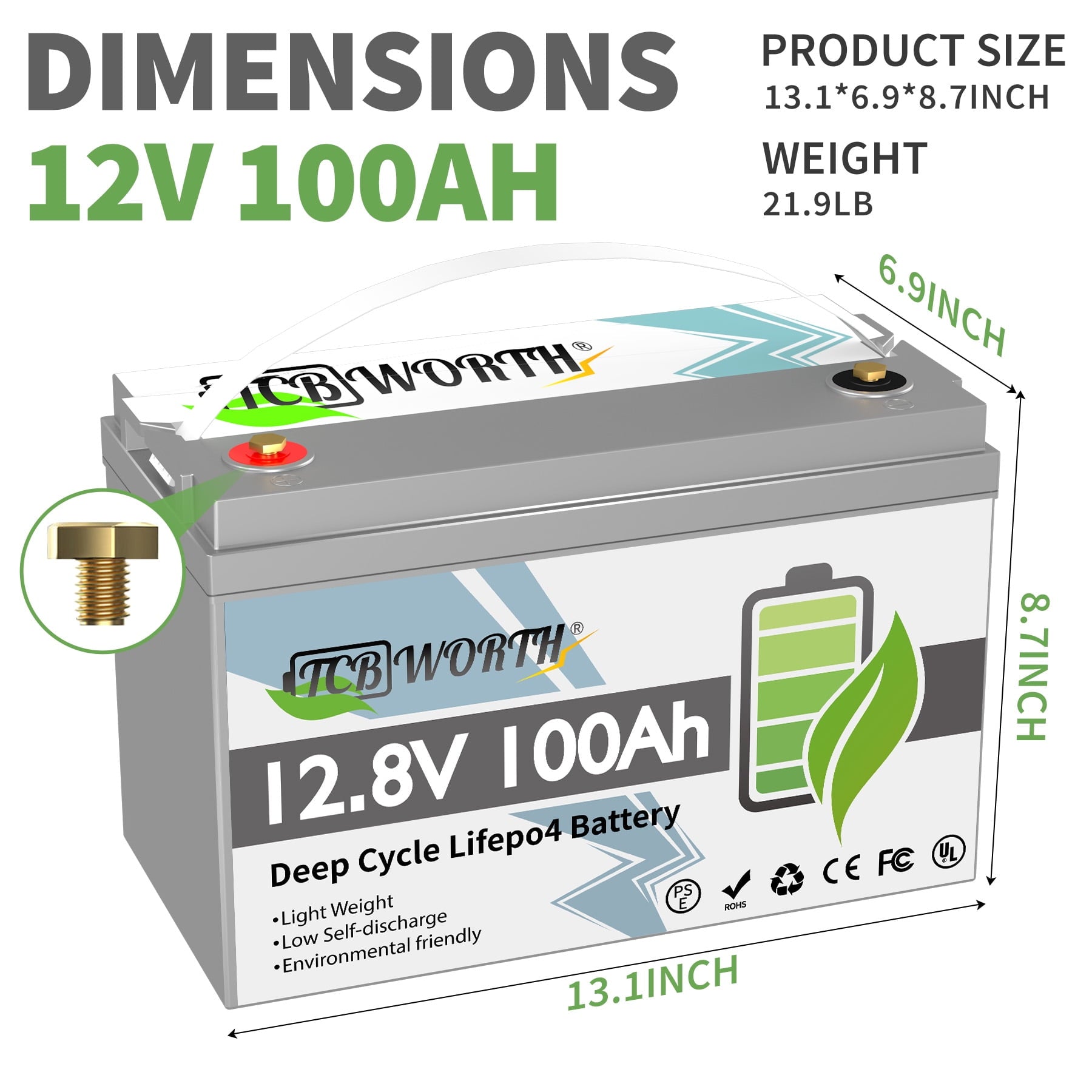 LiFePO4 Battery 12V 100Ah with 10A Charger,TCBWORTH Battery,100A BMS,10000+Cycles, for RV,Solar