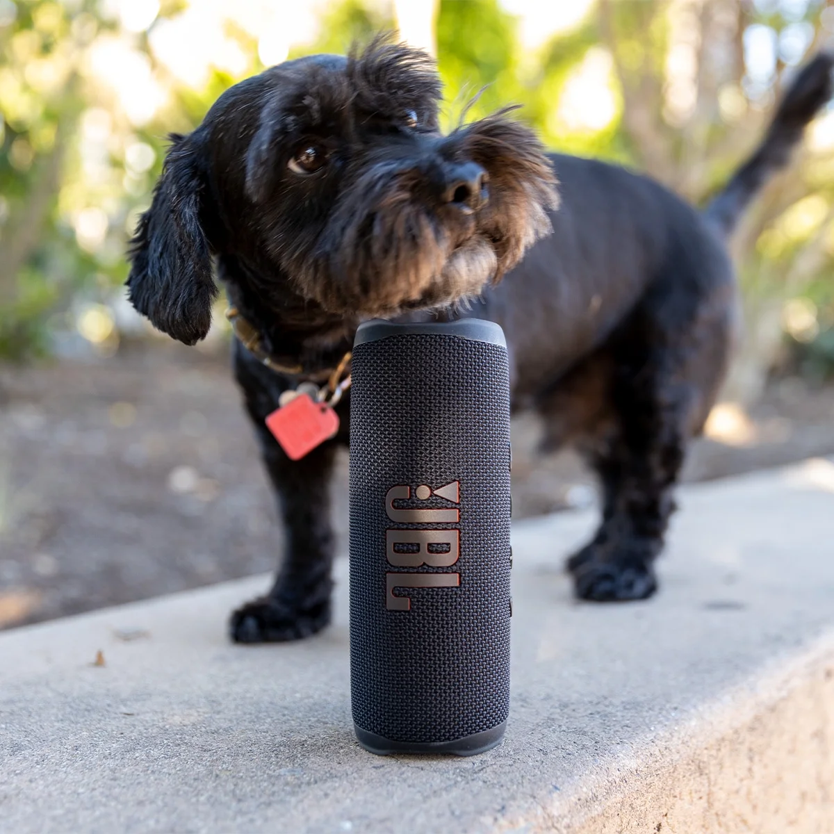 JBL Flip 6 Waterproof Portable Bluetooth Speaker - Pair (Black)